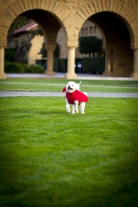 Touleh at Stanford